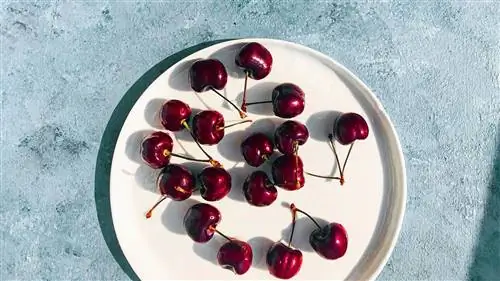 CS-Foods-to-Eat-or-Avoid-for-Psoriatic-Arthritis-03-Cherry- alt-1440x810 CS-Foods-to-Eat-or-Avoid-for-Psoriatic-Arthritis-03-Cherry- alt-1440x810
