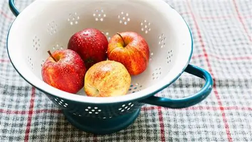 CS-Foods-to-Eat-or-Avoid-for-Psoriatic-Arthritis-04-Apples- alt-1440x810 CS-Foods-to-Eat-or-Avoid-for-Psoriatic-Arthritis-04-Apples- alt-1440x810