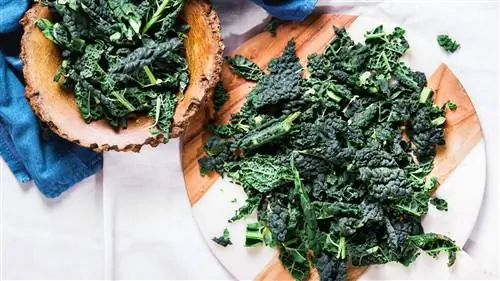 CS-Foods-to-Eat-or-Avoid-for-Psoriatic-Arthritis-05-Kale- alt-1440x810 CS-Foods-to-Eat-or-Avoid-for-Psoriatic-Arthritis-05-Kale- alt-1440x810