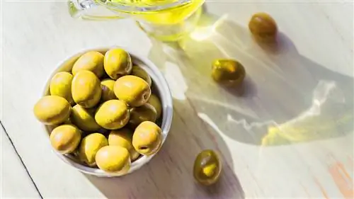 CS-Foods-to-Eat-or-Avoid-for-Psoriatic-Arthritis-07-Olives-Oil- alt-1440x810 CS-Foods-to-Eat-or-Avoid-for-Psoriatic-Arthritis-07-Olives-Oil- alt-1440x810