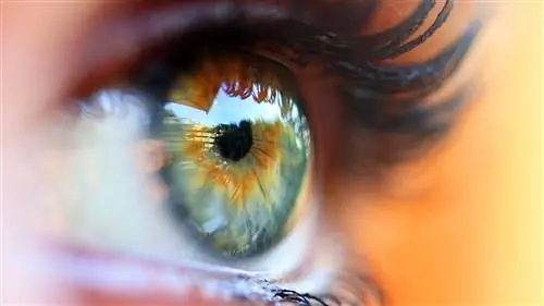 Являются ли раздраженные глаза симптомом ревматоидного артрита?