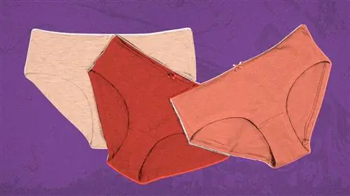 Умное здоровье: я попробовала нижнее белье во время месячных, и вот что вышло