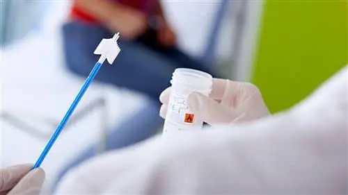 10 медицинских осмотров, которые должны пройти все женщины