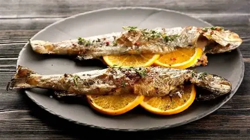 Употребление рыбы при диабете: форель для жирных кислот