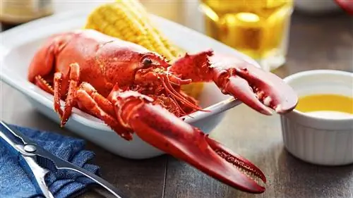Употребление рыбы при диабете: омары и другие моллюски для контроля порций