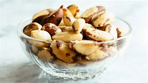 бразильский орех