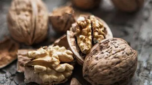 грецкие орехи