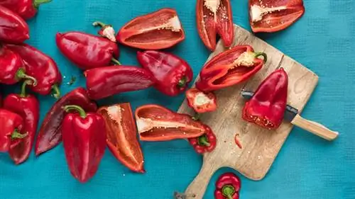 красный перец