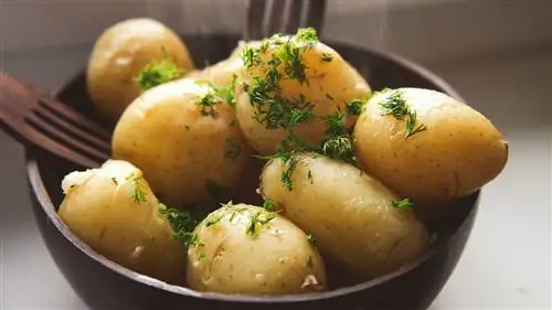 Крахмалистые овощи, которые в больших количествах могут дестабилизировать уровень сахара в крови белый картофель