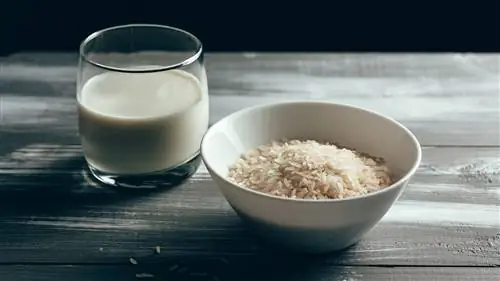 Немолочное молоко рисовое молоко