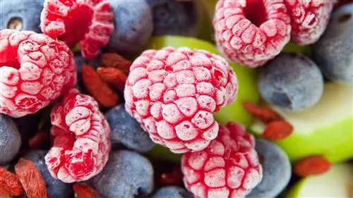 Свежие и замороженные продукты: что лучше для вас?