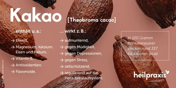 Обзорная графика эффекта какао