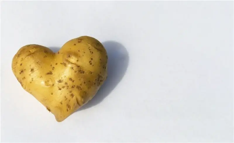 Картофель (Solanum tuberosum) как лекарственное растение