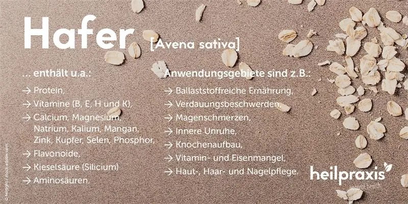 Состав овса и области применения