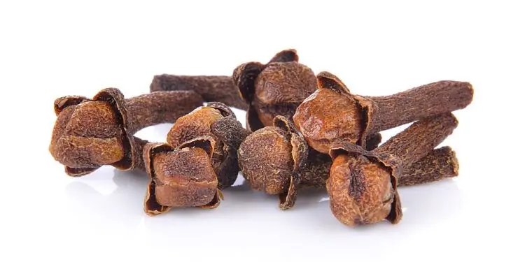 Сушеные бутоны гвоздики на белом фоне