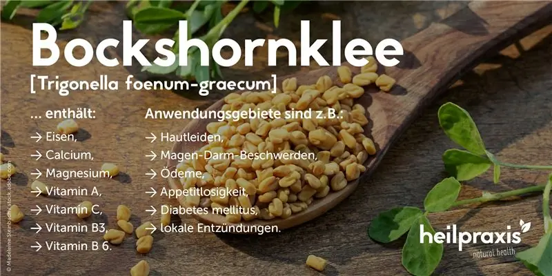 Обзор ингредиентов и областей применения пажитника на фото семян пажитника на деревянной ложке