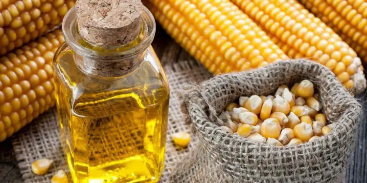 Кукуруза в початках, кукурузные зерна в маленьком джутовом мешочке и кукурузное масло в стеклянной бутылке