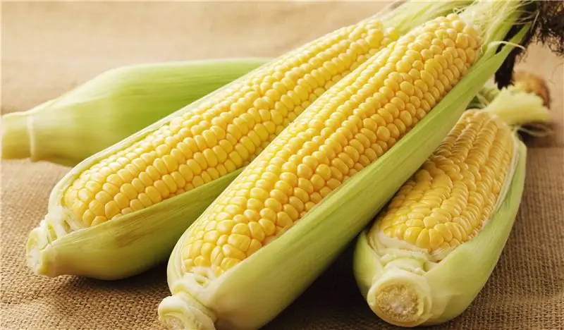 Кукуруза – Кукурузная мука и кукурузное масло