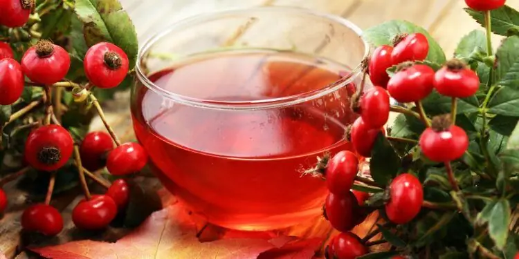 Стакан чая шиповника стоит на деревянной поверхности