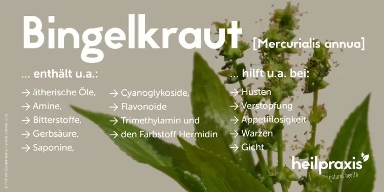 Состав и области применения ртути