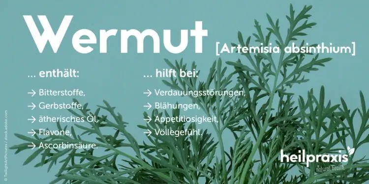 Обзор ингредиентов и областей применения полыни горькой