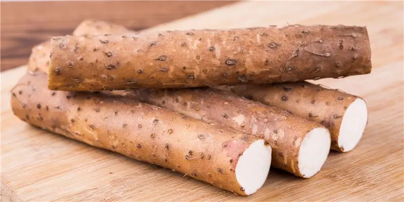 Корень ямса – эффект, применение и ботаника