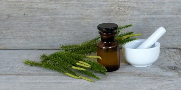 Несколько веточек плауна лежат рядом с маленькой коричневой стеклянной бутылкой и белой ступкой с пестиком на деревянной поверхности