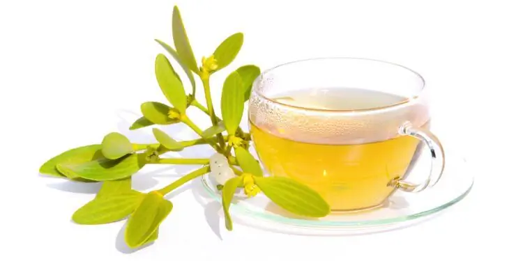 Стеклянная чашка с чаем из омелы рядом с зеленой омелой с белыми ягодами