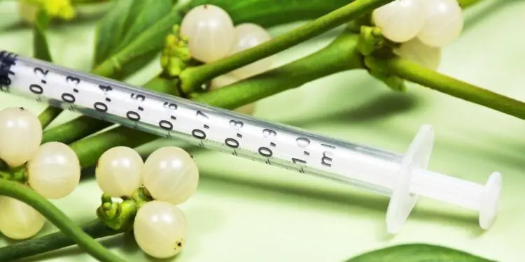 Шприц с единицами лежит на зеленой омеле с белыми ягодами