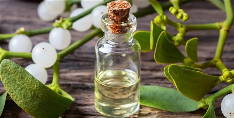 Терапия омелой – применение, эффект и опыт