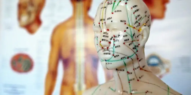 Модель акупунктуры с меридианами, нарисованными перед стеной с различными анатомическими иллюстрациями
