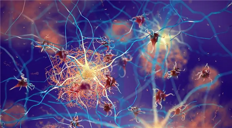 Новый назальный спрей помогает при болезни Альцгеймера и эпилепсии