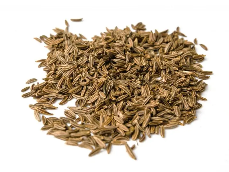 Масло тмина можно использовать внутрь, а также наружно для лечения синдрома раздраженного кишечника. (Изображение: rdnzl/fotolia.com)