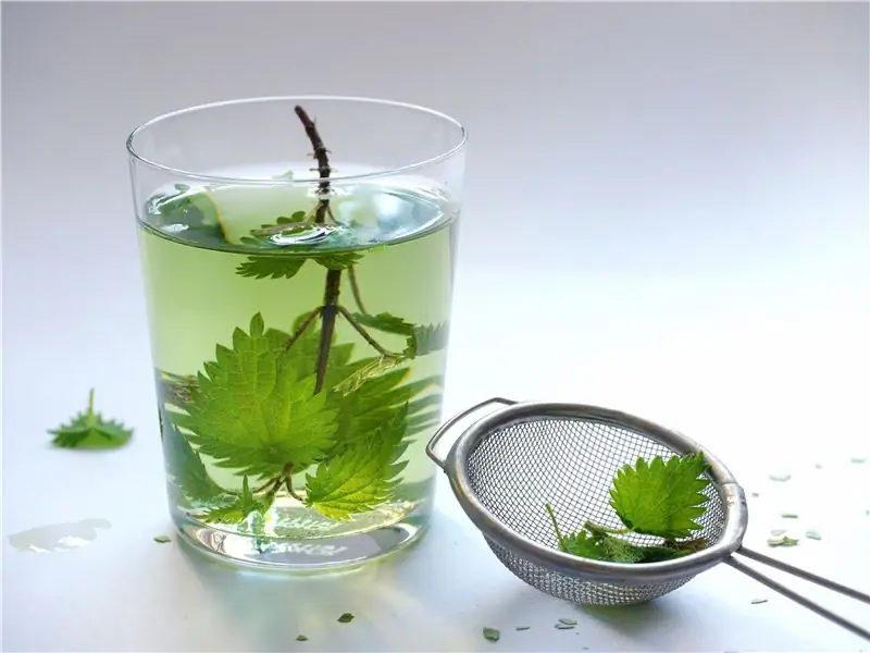 Лучшие домашние средства от дефицита железа