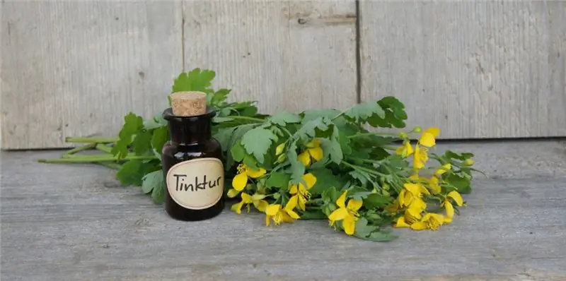 Настойка чистотела с чистотелом