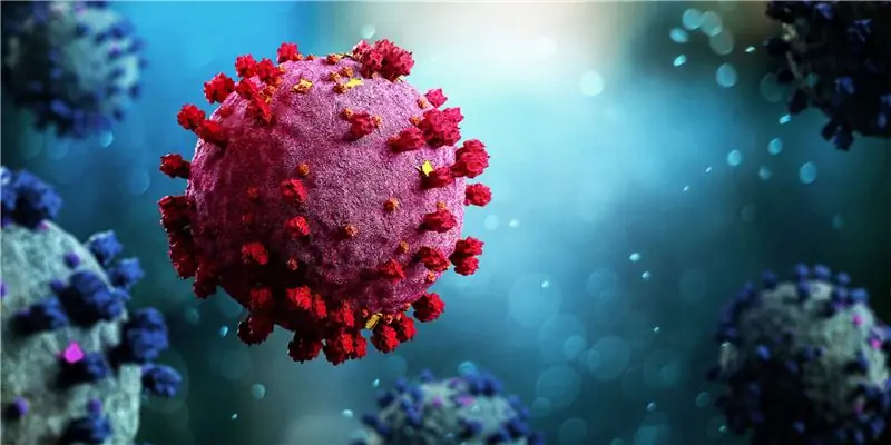 Коронавирус: долговременная защита благодаря иммунологической памяти