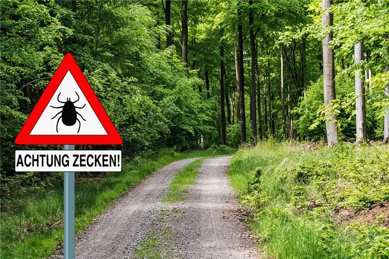 Укусы клещей: рекомендуется ранняя вакцинация против КЭ