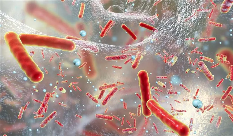 Антивитамины как новые антибиотики?