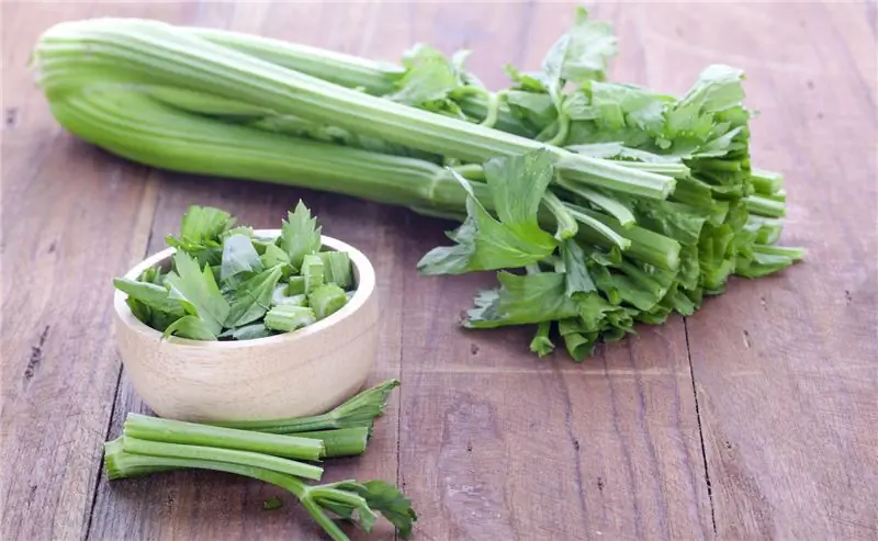 Здоровье: сельдерей - суперовощ
