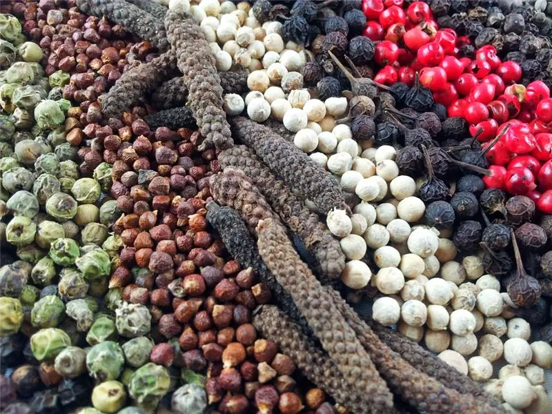 Целебные райские зерна. Изображение: fotojob - fotolia