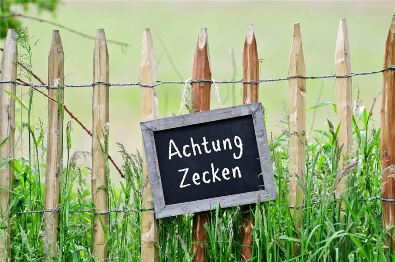 Клещи могут передавать опасные заболевания, такие как клещевой энцефалит или болезнь Лайма. В этом году из-за мягкой зимы особенно много паразитов. Поэтому при пребывании на природе рекомендуется соблюдать осторожность. (Изображение: Marco2811/fotolia.com)