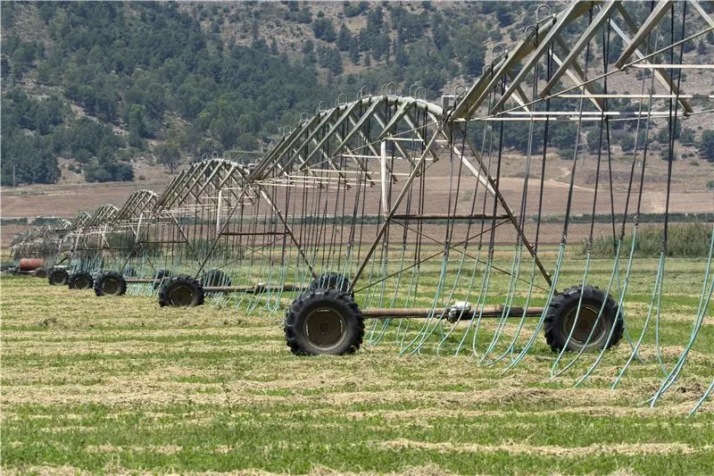 Подозрение на рак: пестицид глифосат можно измерить в моче почти всех немцев