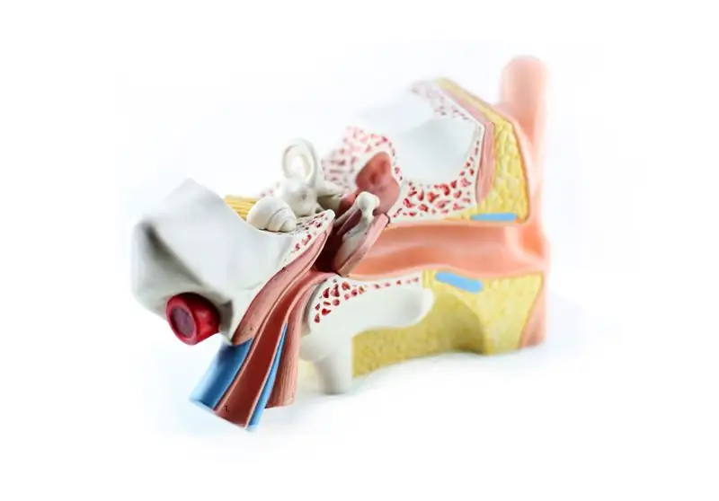 Инфекция среднего уха может привести к потере слуха