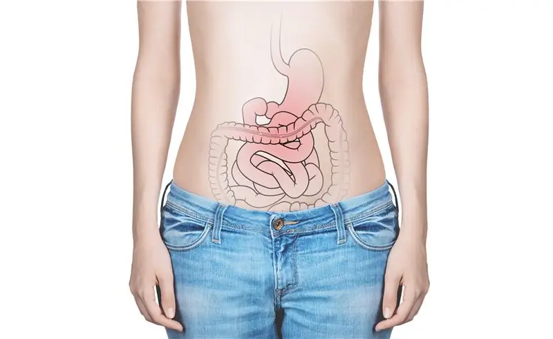 Виноваты лишние килограммы: кишечные бактерии контролируют наше чувство сытости