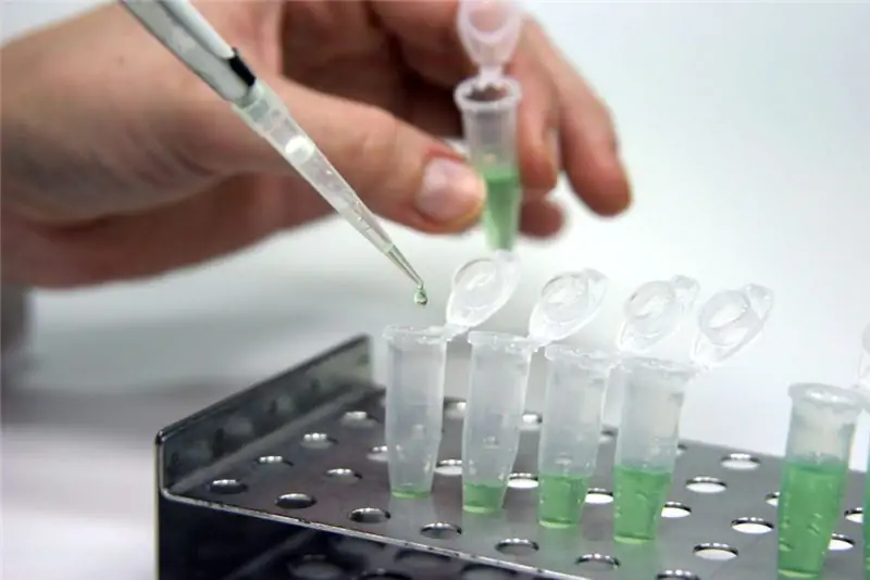 Доктор пытался излечить инвалидность со смертью с помощью сомнительной терапии - стволовыми клетками? (Изображение: Свен Хоппе/fotolia.com)