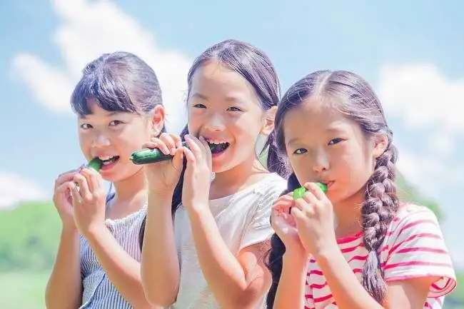 Не пропустите, вот 8 полезных свойств огурца для здоровья детей