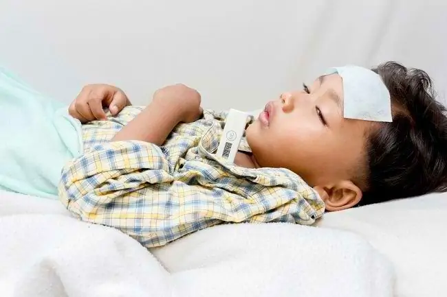 Понимание симптомов брюшного тифа у детей и как с ним справиться