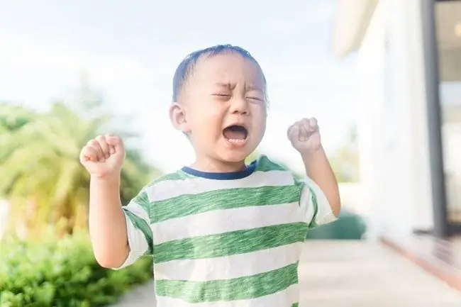 Мать, вот как бороться с Ужасными Двумя Фазами у Детей