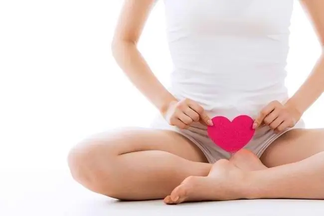 Функция вульвы и возможные заболевания