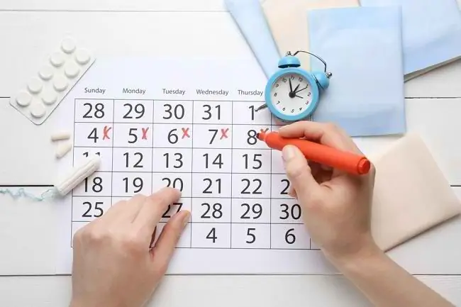 Понимание фаз менструального цикла - Alodokter